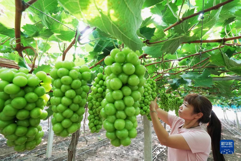 泰山闯天关