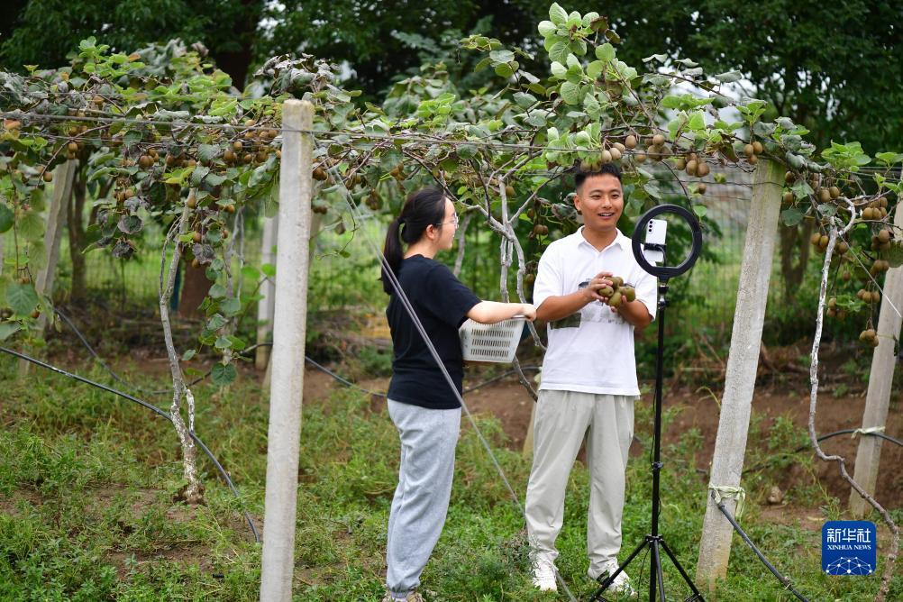 免费炸三张金花游戏下载娱乐版